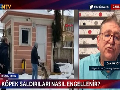 NTV Haber ekranlarında köpek saldırıları ile ilgi açıklamalarda bulunduk