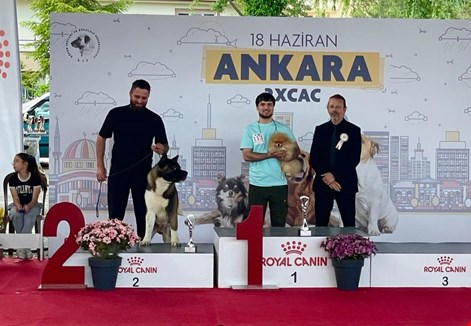 2023 Yılının Ankara yarışmasında da ödülleri kazanmaya devam ettik