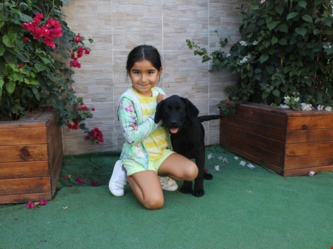 Eroğlu Holdingin Genç yöneticilerinden Erdem Bey ve ailesi Rehber Siyah labrador yavrularına kavuştular.
