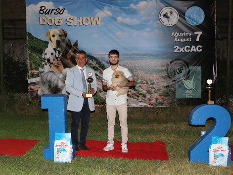 Bursa'da Alman Çoban Köpeği ve Pomeranian dostlarımızın başarıları tazelendi