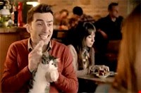 Elit Yavru kedisi Şahika Avea reklamlarında :)