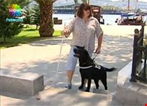 Engelli vatandaşların hayatını kolaylaştıran Rehber Köpekler