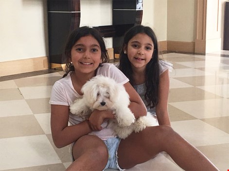 Faralyalı Ailesi, Maltese Terrier elit yavrularına kavuştu