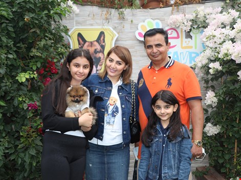 İranlı Arash bey ve ailesi pomeranian yavrularına kavuştular