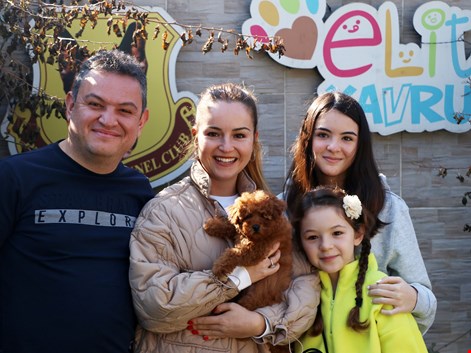 İzmir'den Uzun ailesi Teacup Red Brown Poodle yavruları Sindy'e kavuştular.