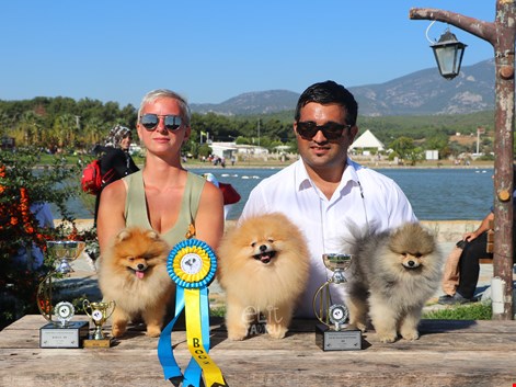 KIF İzmir Yarışmasında Pomeranian Rüzgarı Esti