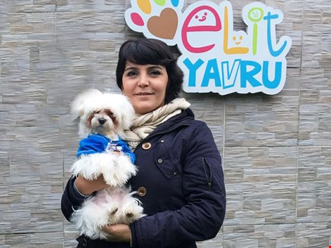 Serpil Hanım'ın Maltese Terrier dostu eğitimini tamamladı