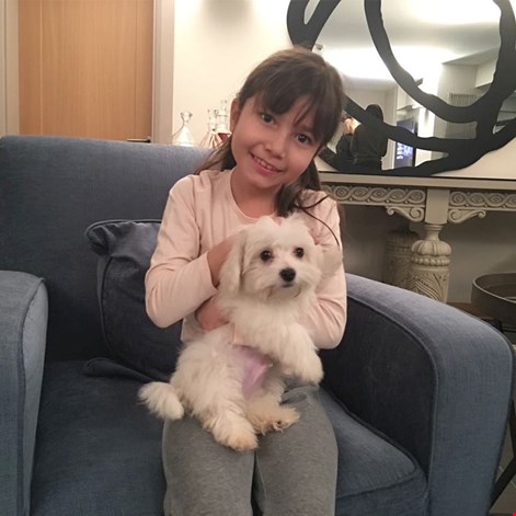 Sunucu Nazlı Çelik, kızı için Maltese Terrier sahibi oldu