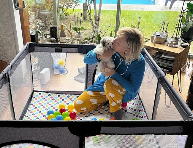 Berna Laçin Morkie dostu Romeo'yu sevmeye doyamıyor