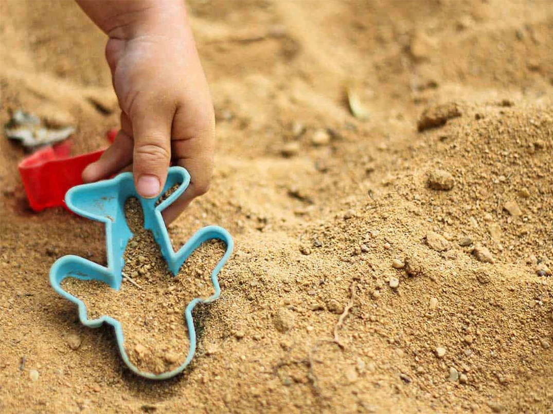 Kedi Kumu Yerine Normal Kum Olur mu?