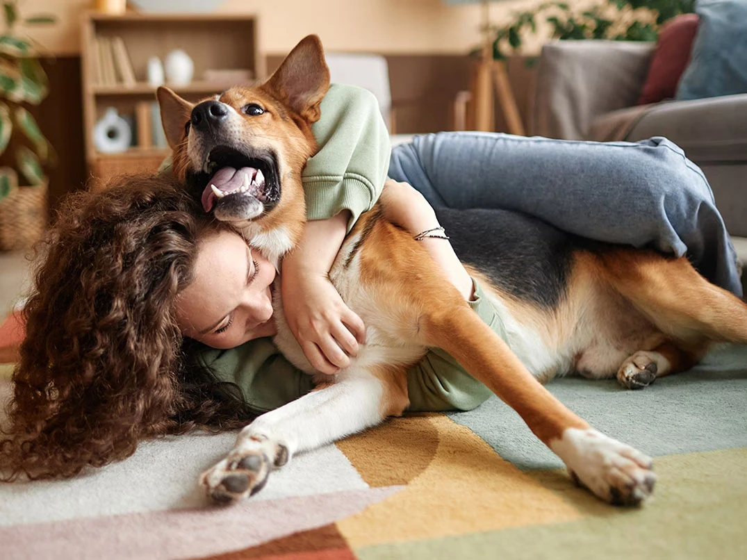 Köpeklerde Yaş Nasıl Anlaşılır? Köpek Yaşı Hesaplama Tablosu