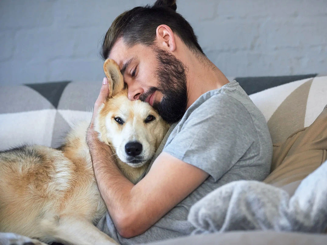 Köpekler Neden İç Çeker?