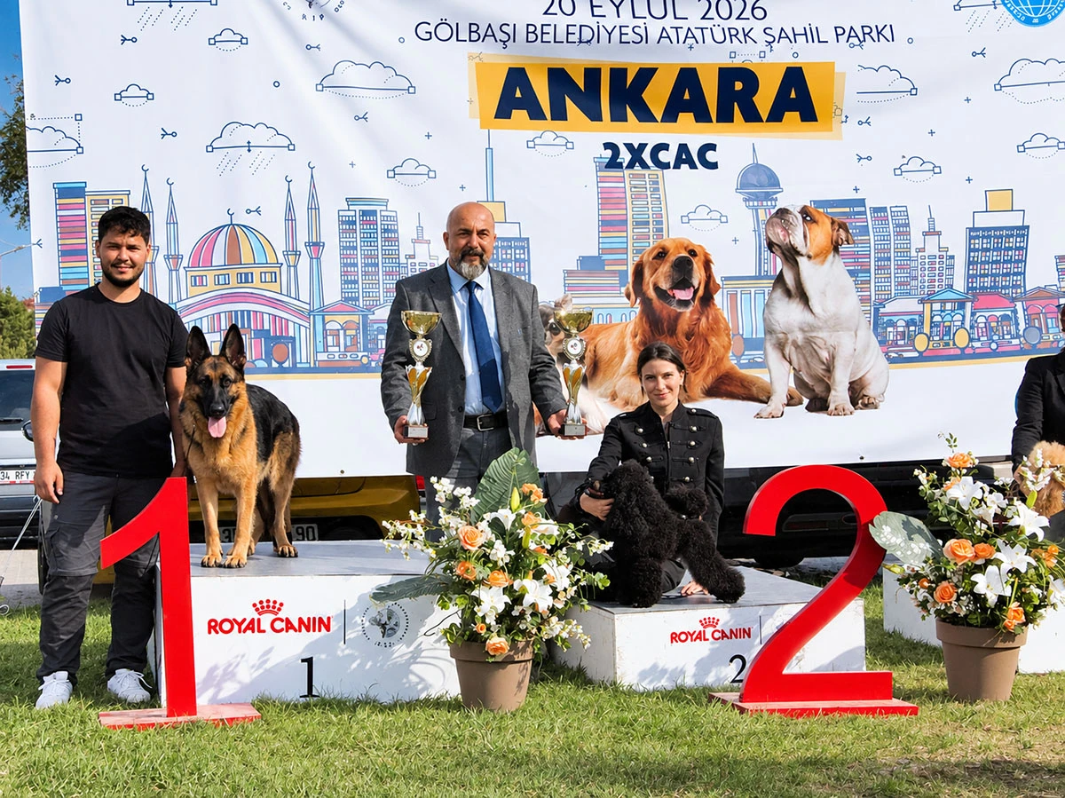 Elit Yavru’dan KİF Ankara’da Büyük Başarı, Zada Best in Show 1.’si