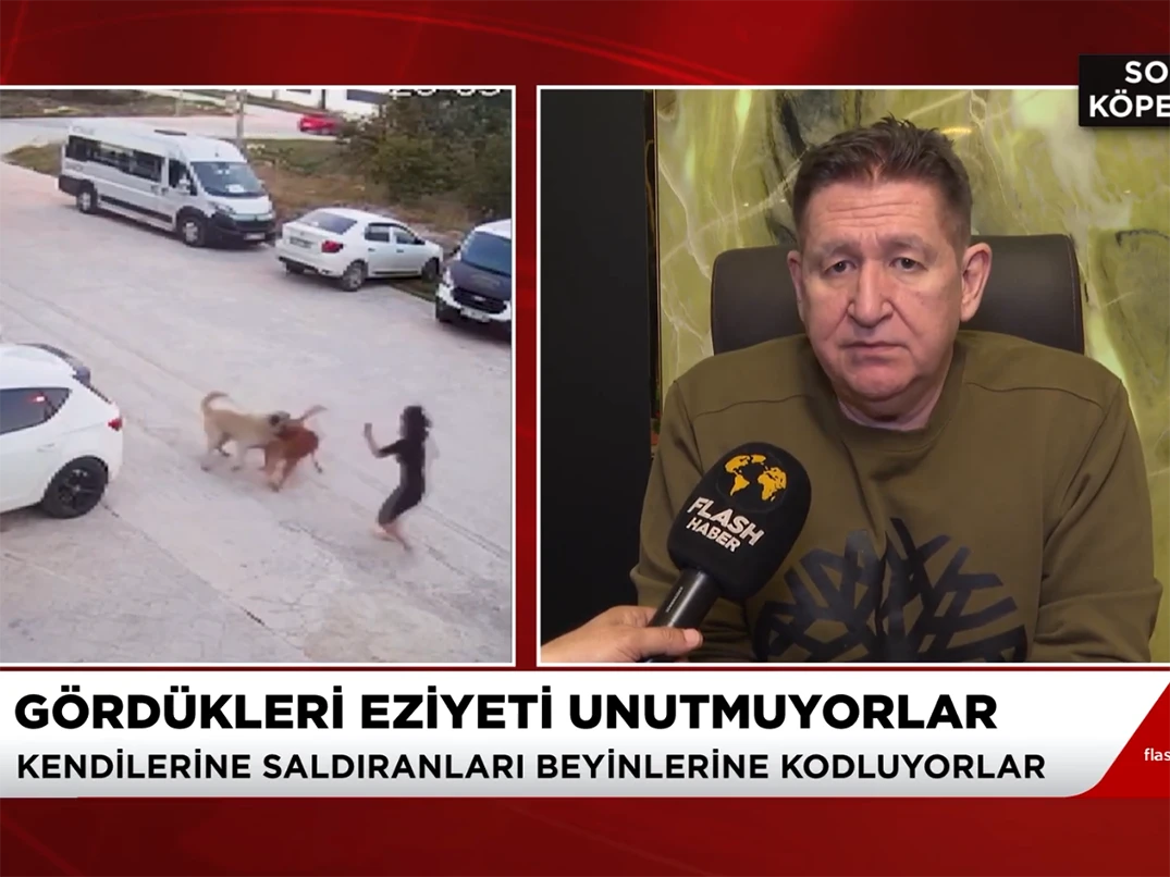 Flash TV ekranlarındaki Muhbir programında köpek saldırıları hakkında açıklamalarda bulunduk