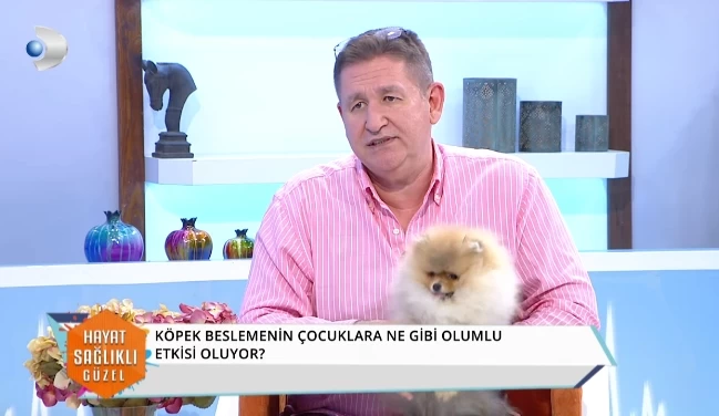 Elit Yavru Hakkında Biz Kimiz?