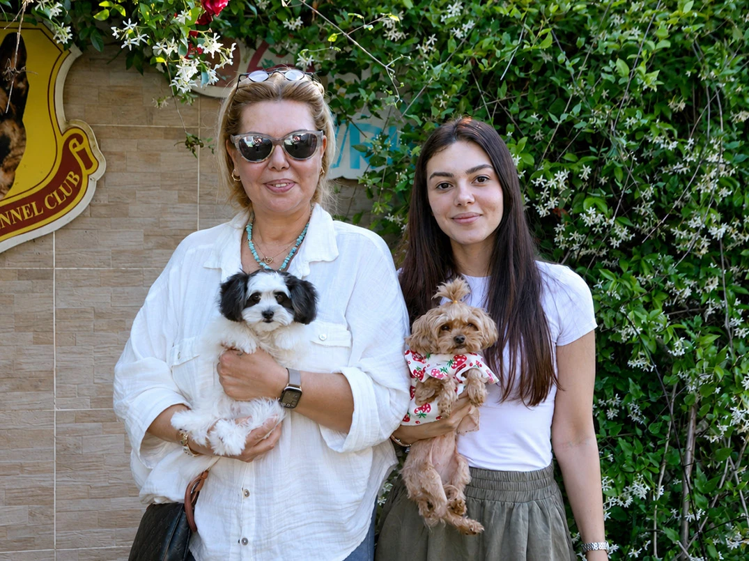 Sevgili Alev Hanım ve ailesi Teacup Morkie yavrularına kavuştular