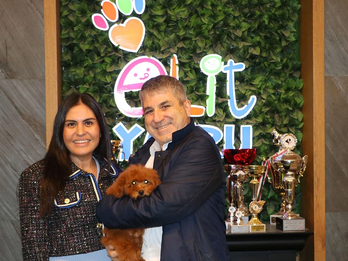 Onaran ailesi Poodle yavrularına kavuştular