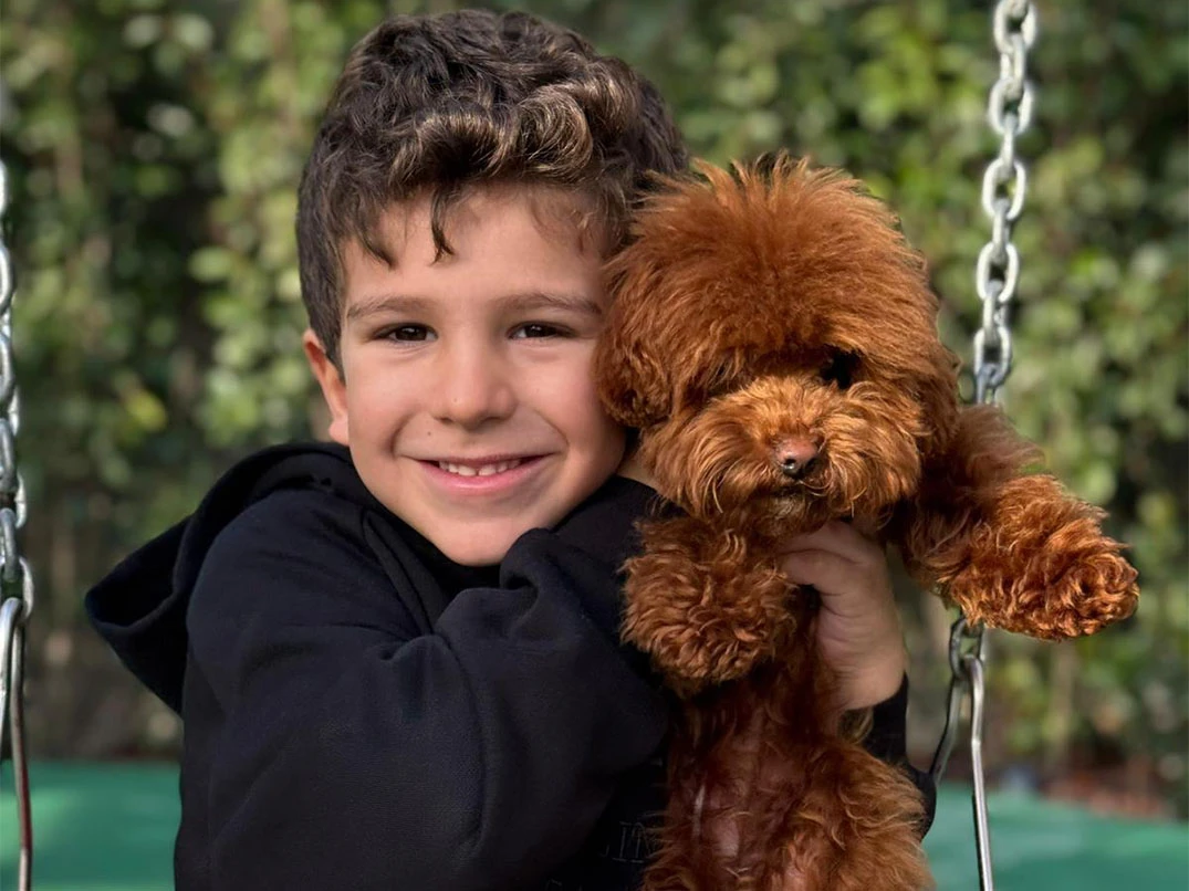 Teacup Poodle yavrumuz tuvalet eğitimini başarılı bir şekilde tamamladı