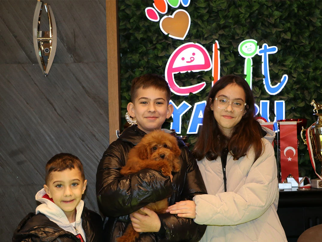 Sevgili Cansu Hanım ve ailesi Poodle yavrularına kavuştular