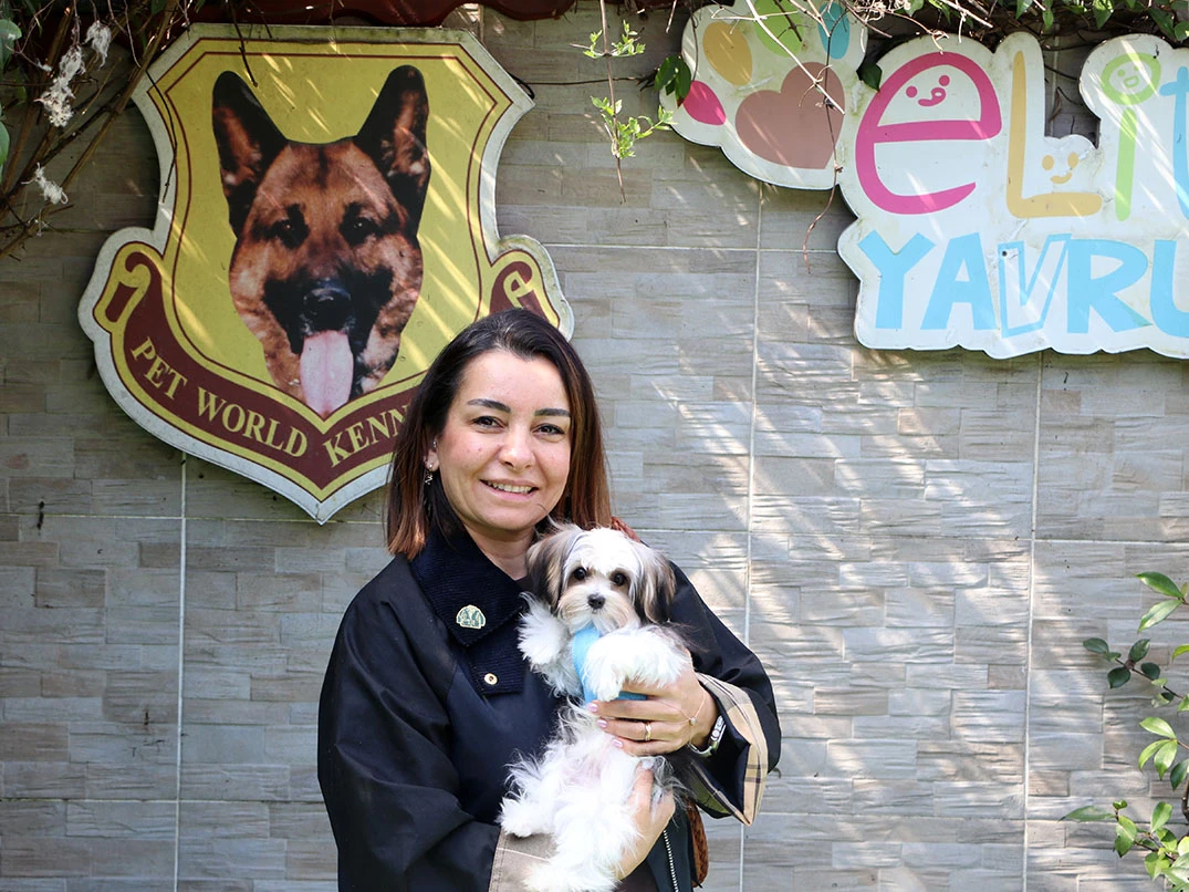 Tekirdağ'dan Cihan Hanım ve ailesi Teacup Morkie yavrularına kavuştular