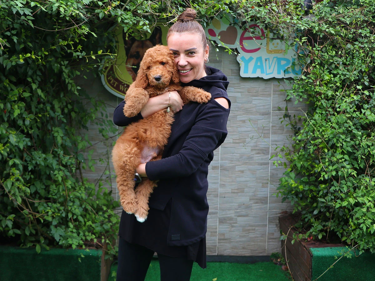 Didem Hanım Labradoodle oğluna kavuştu