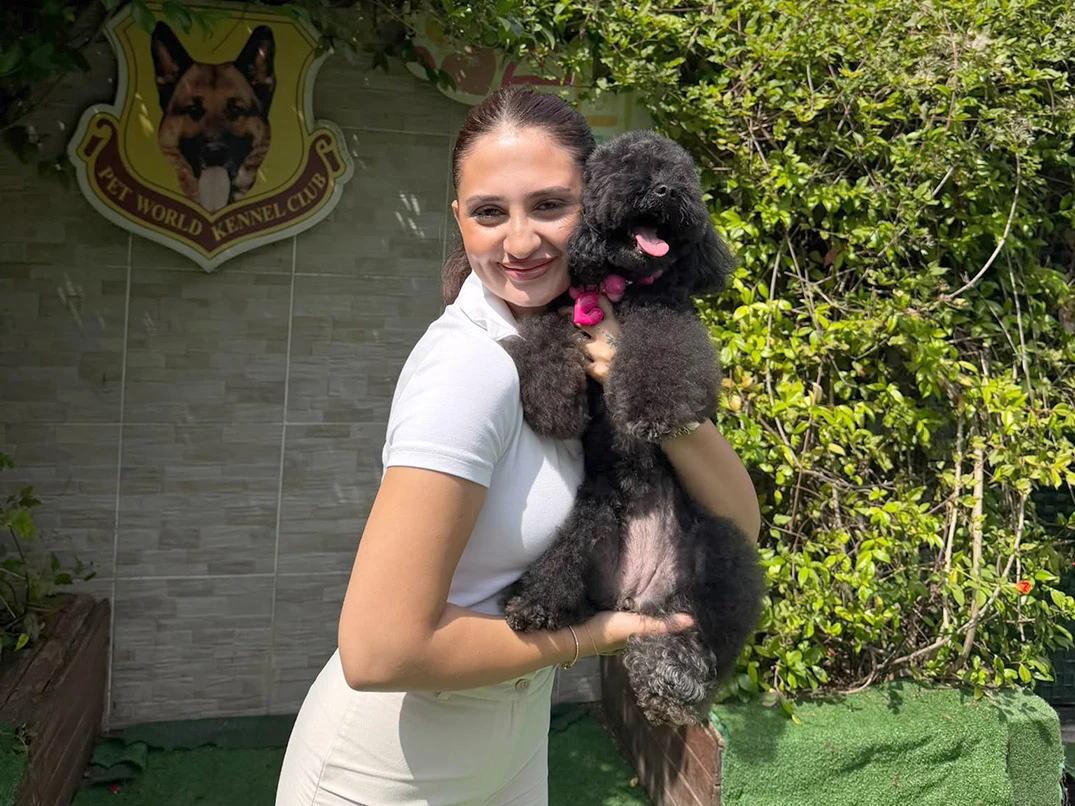 Emel Hanım’ın Siyah Poodle Dostu Foxie’yi Mutlulukla Uğurladık