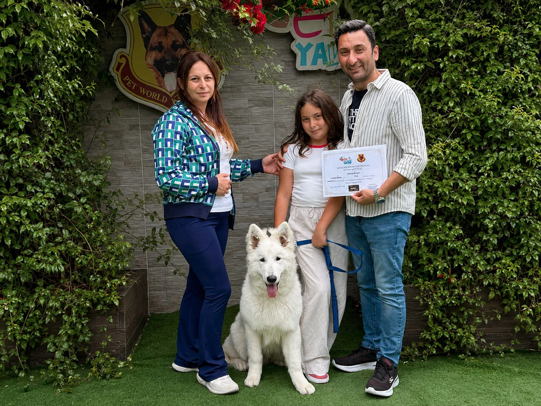 Beyaz Alman Çoban Köpeği Ayaz Temel İtaat Eğitimini Başarıyla Tamamladı