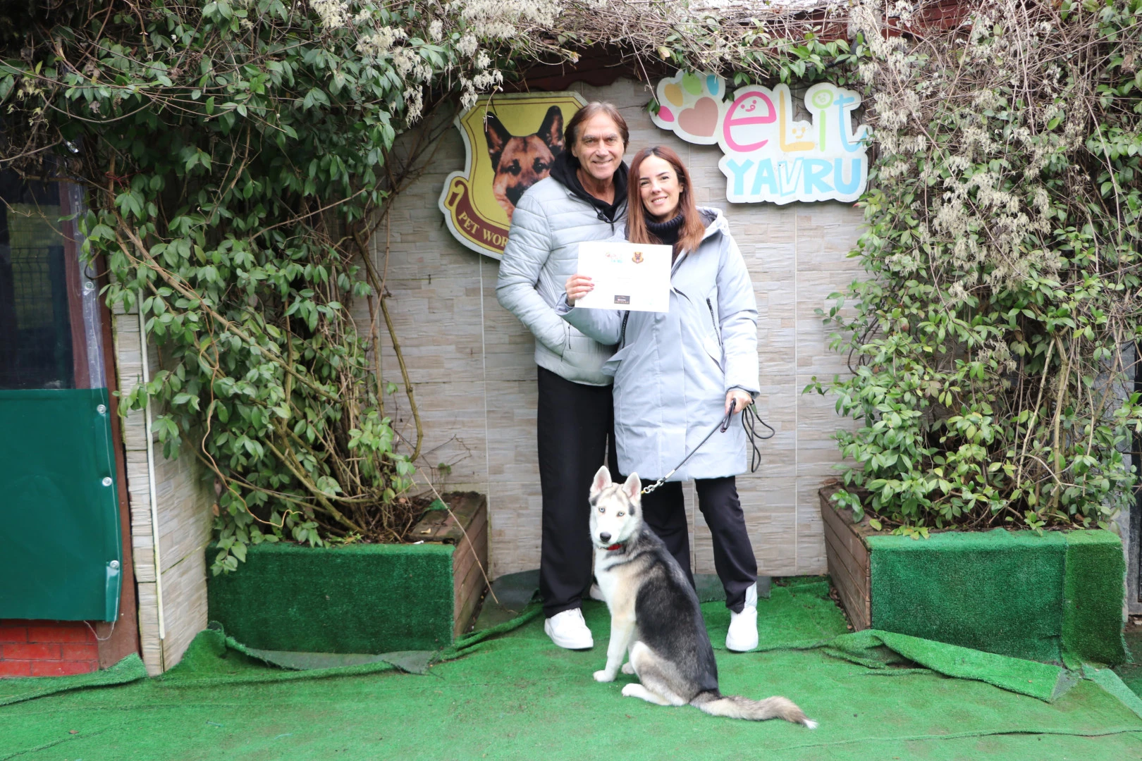 Husky Zayu Temel İtaat Eğitimini Tamamladı