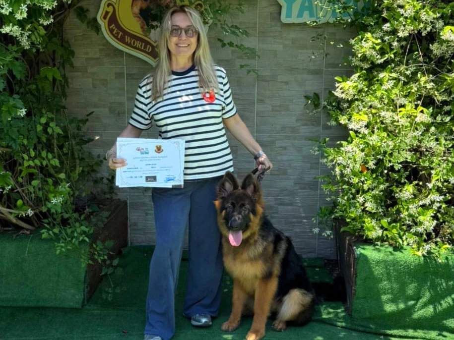 İzmir'den Gökhan Cuvak Ailesinin Alman Çoban Köpeği Bella'sı Temel İtaat Eğitimini Başarıyla Tamamladı