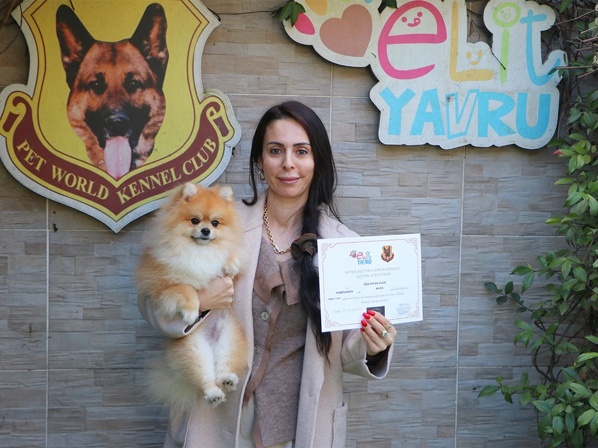 Maris Temel İtaat Eğitimini Elit Yavru Çiftliği’nde Başarıyla Tamamladı