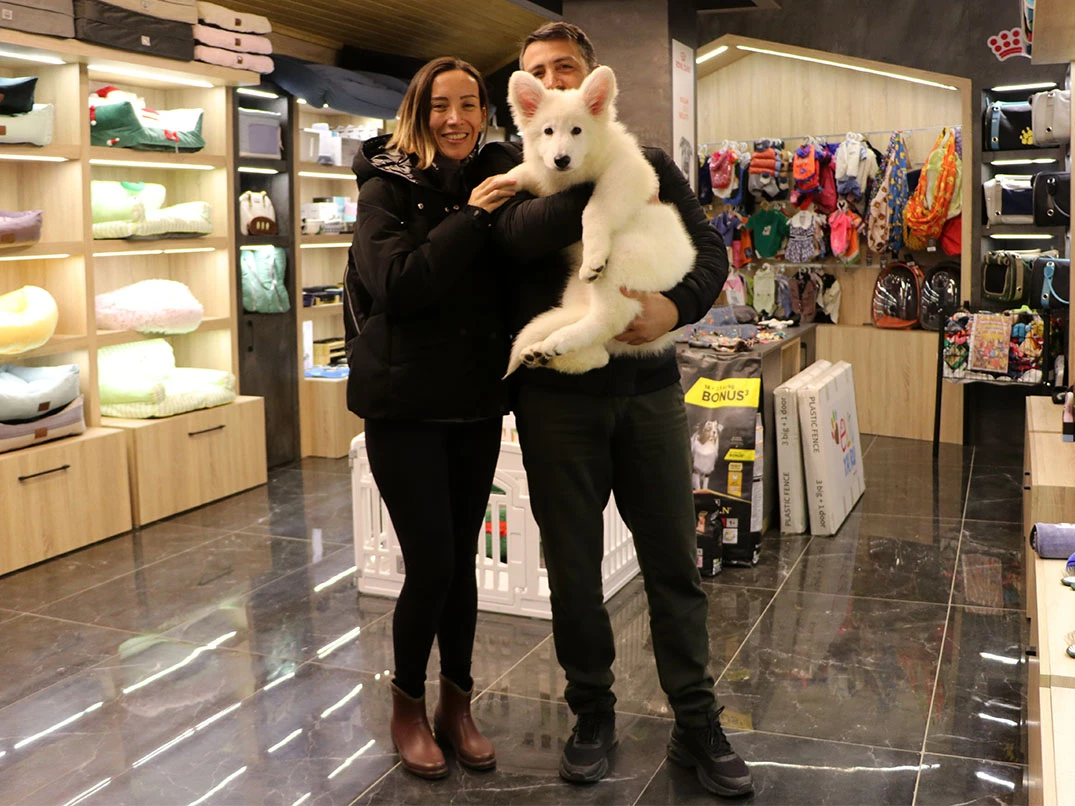 Hasan Bey ve ailesi Beyaz Alman Çoban Köpeği yavrularına kavuştular