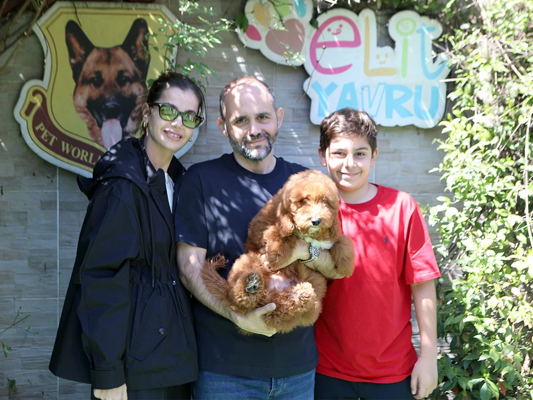 Mersin’den İsmail Okan ve Ailesi, Medium Labradoodle Yavrularını Ailelerine Dahil Etti