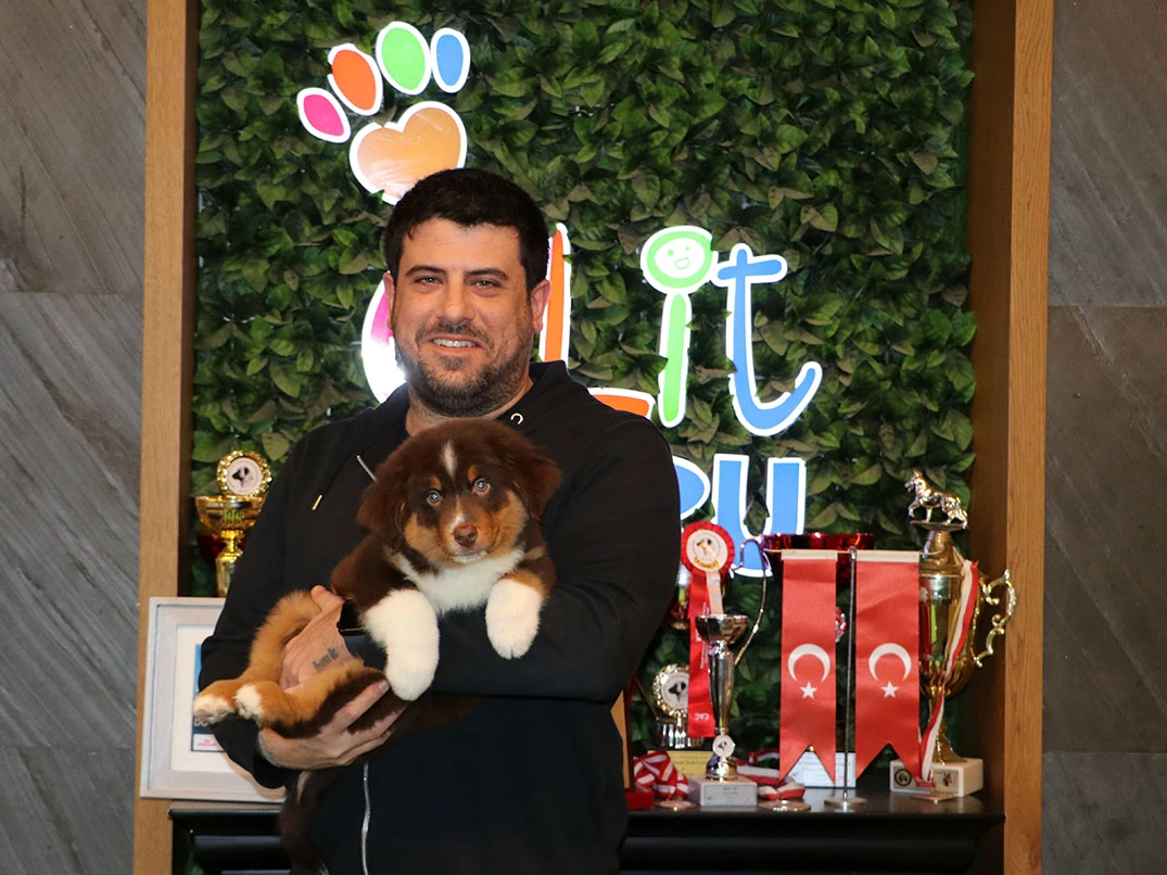 Sevgili Kaan Bey Miniature American Shepherd yavrusuna kavuştu