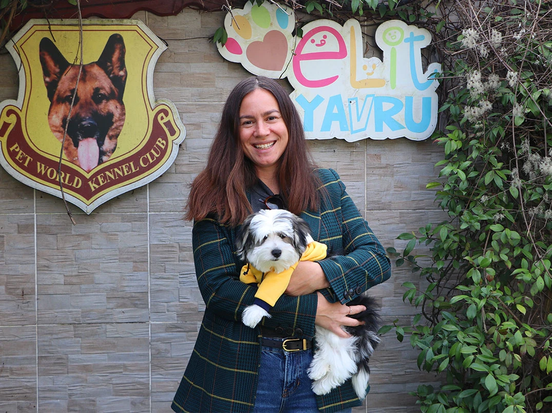 Sevgili Liliena Hanım Morkie yavrularını ailelerine dahil etti