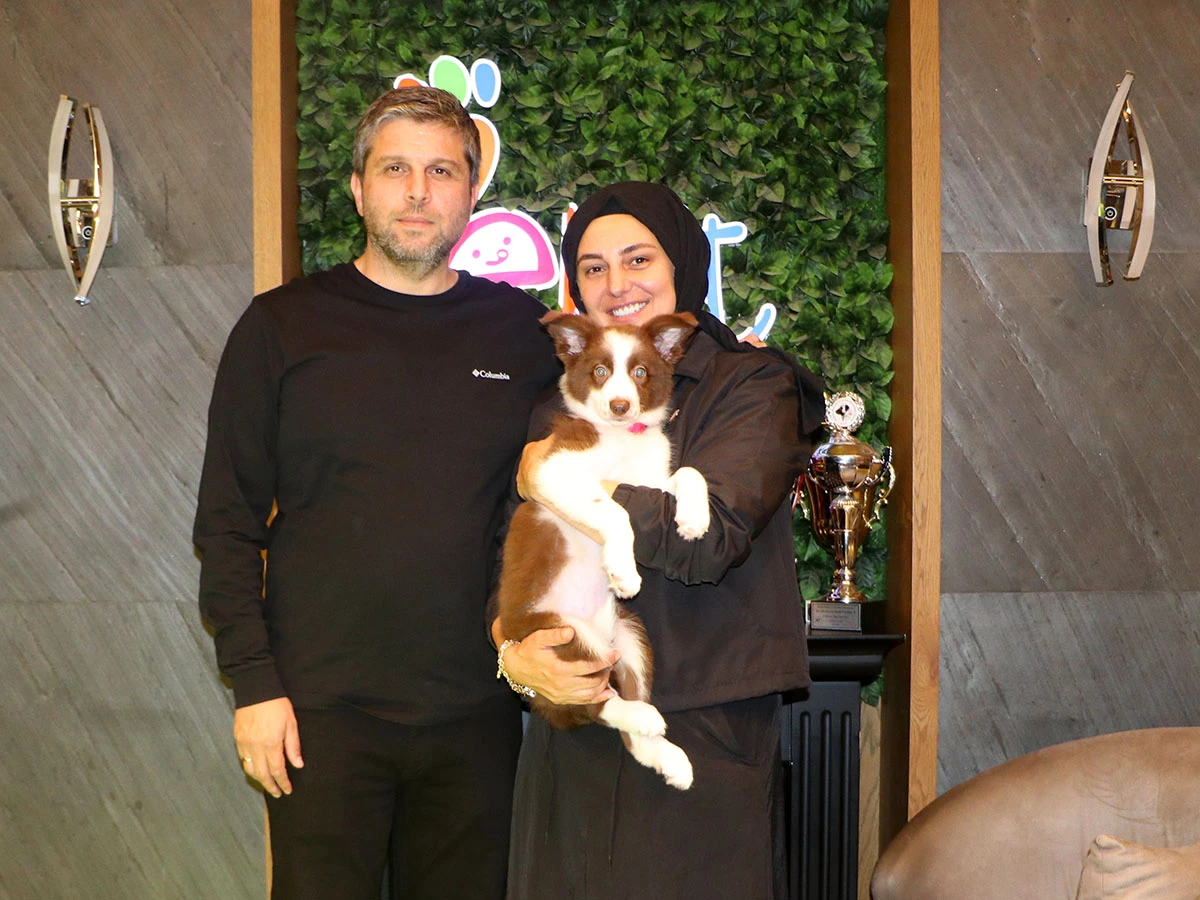 Mahmut Nazırlı Ailesine Border Collie Yavrusu Dahil Etti