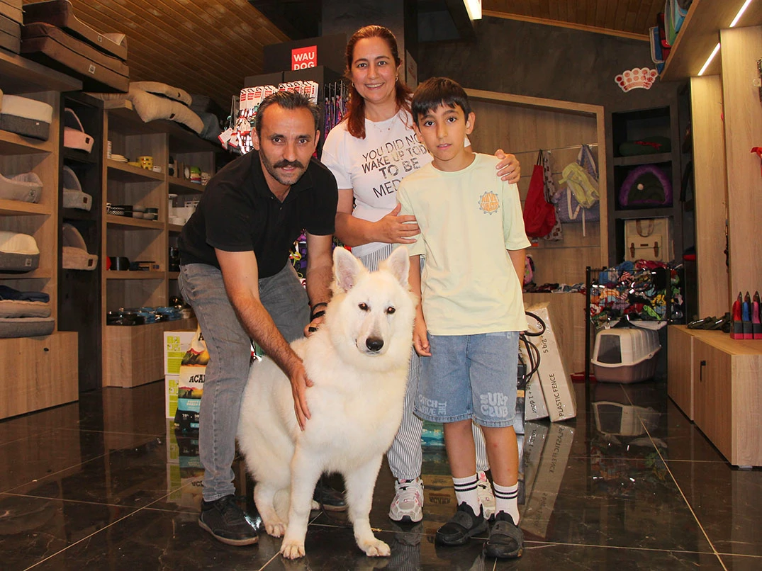 Sevgili Mehmet Ali Bey ve ailesi Beyaz Alman Çoban Köpeği dostlarına kavuştu