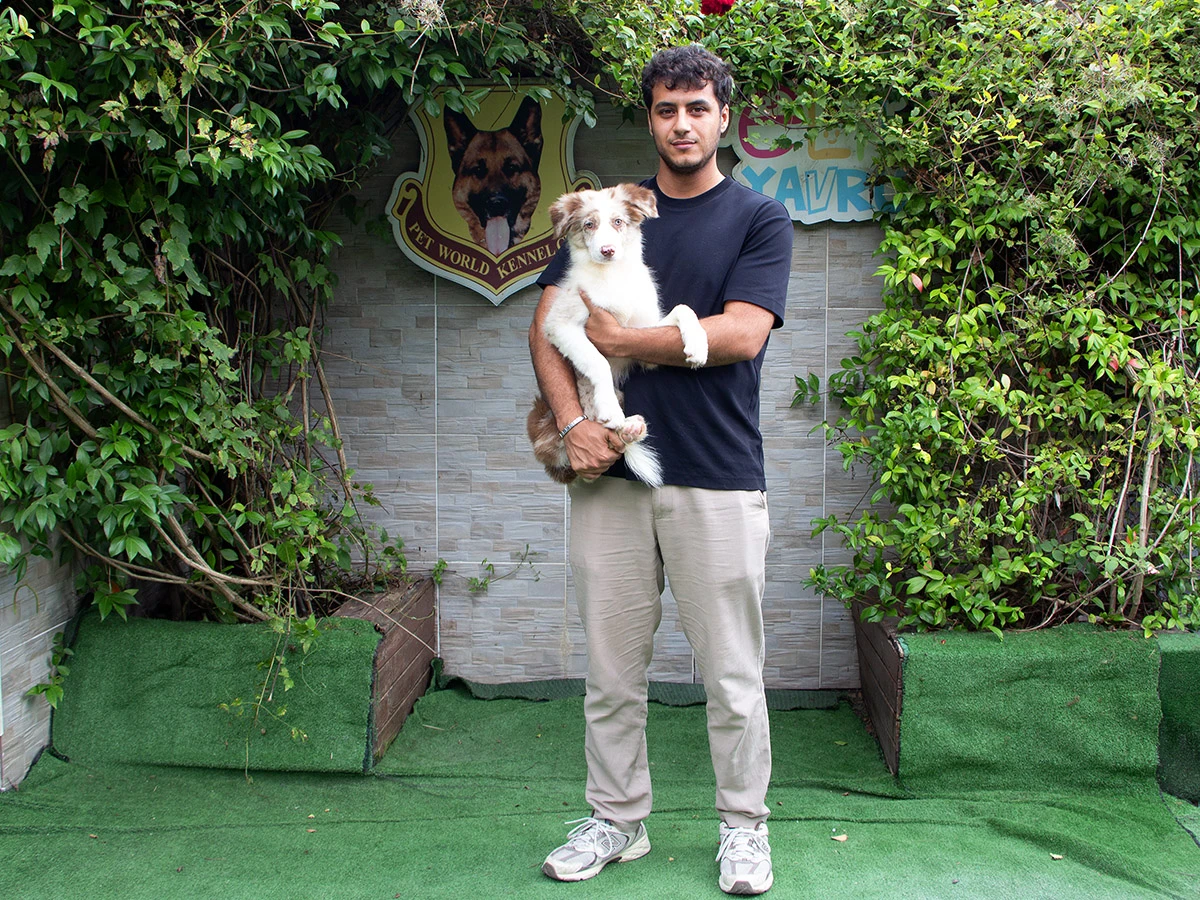 Mehmet Furkan Bey ve Ailesinin Yeni Dostu Red Merle Border Collie
