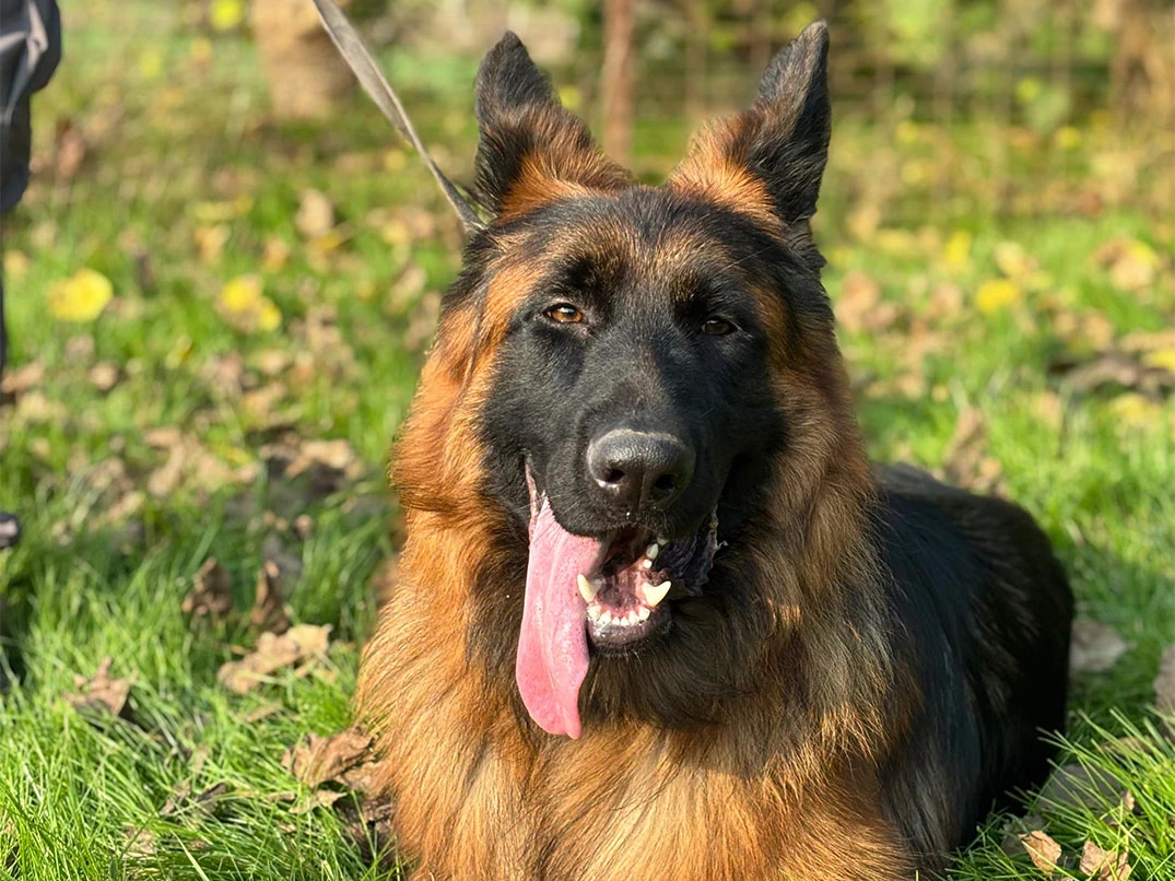 Leo Yeniden Otelimizde Konaklıyor