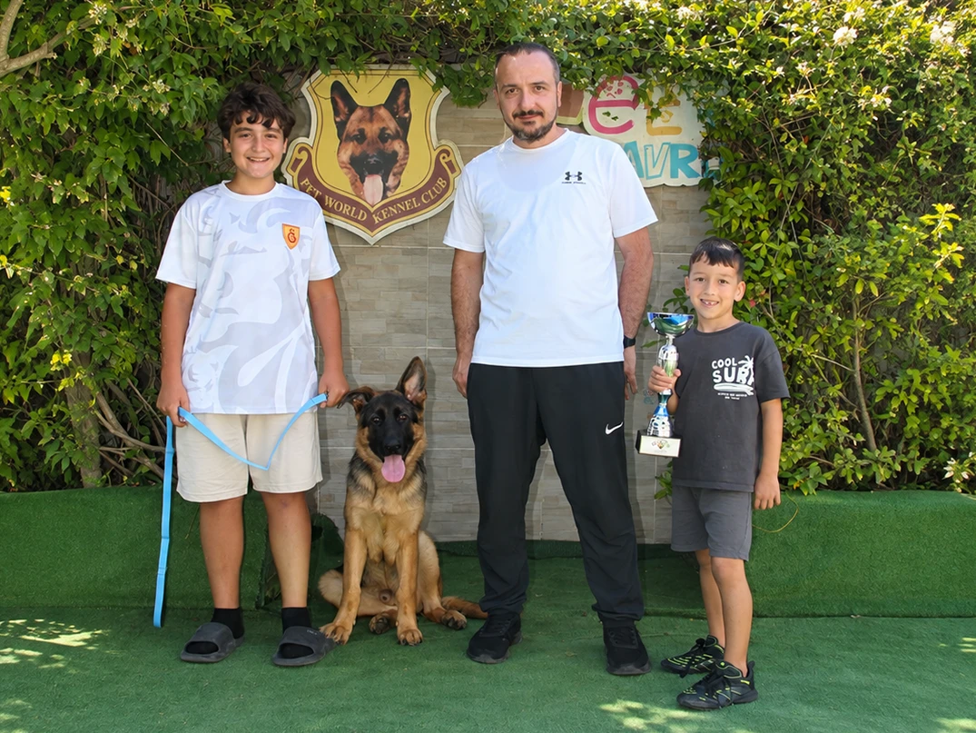 Alman Çoban Köpeği Rüzgar Temel İtaat Eğitimini Başarıyla Tamamladı