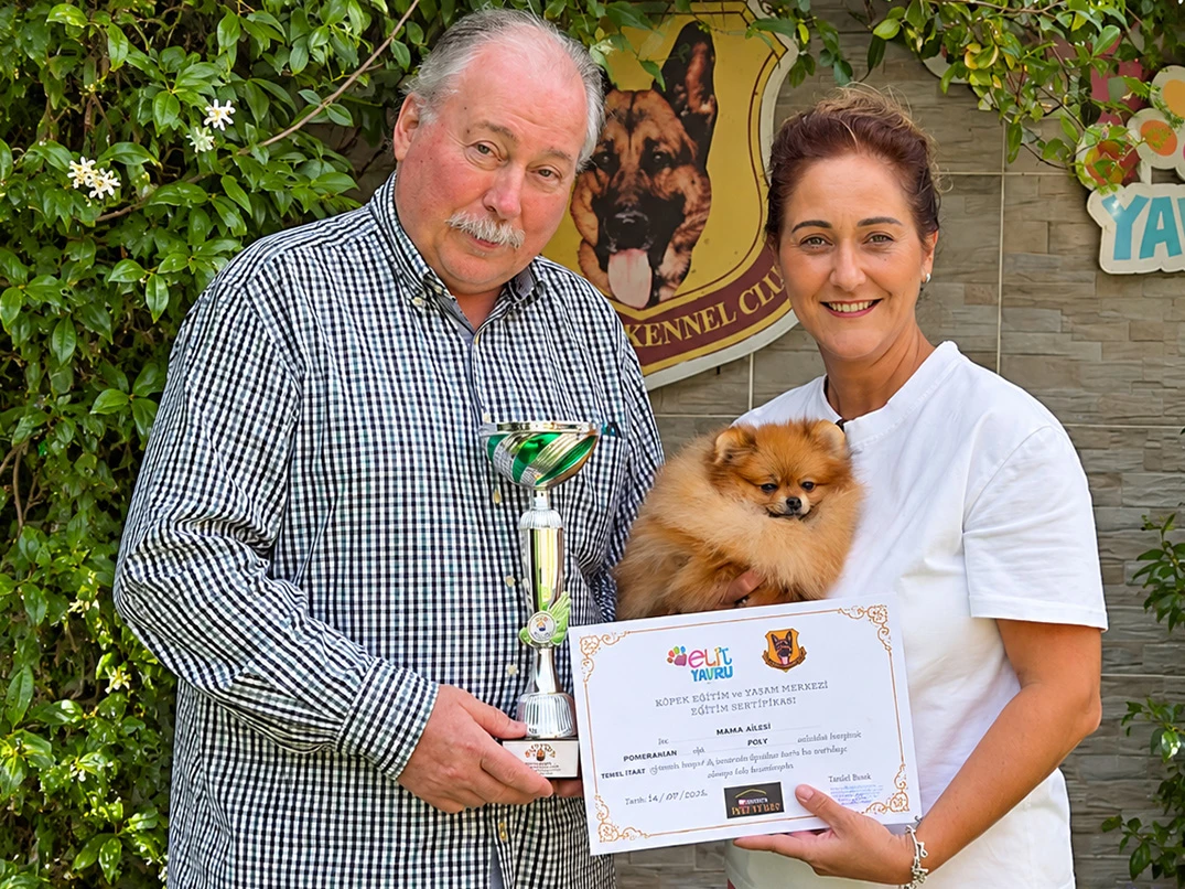 Teacup Pomeranian Polly Temel İtaat Eğitimini Tamamlayarak Ailesine Kavuştu
