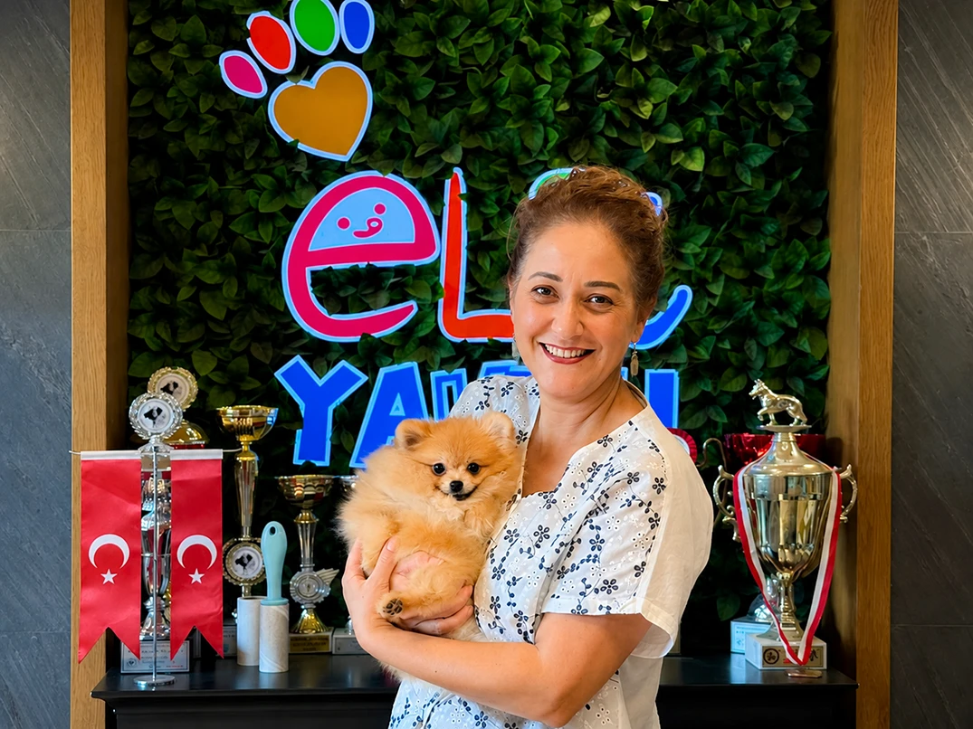 Nesrin Hanım ve Ailesi Teacup Pomeranian Yavrularına Kavuştu