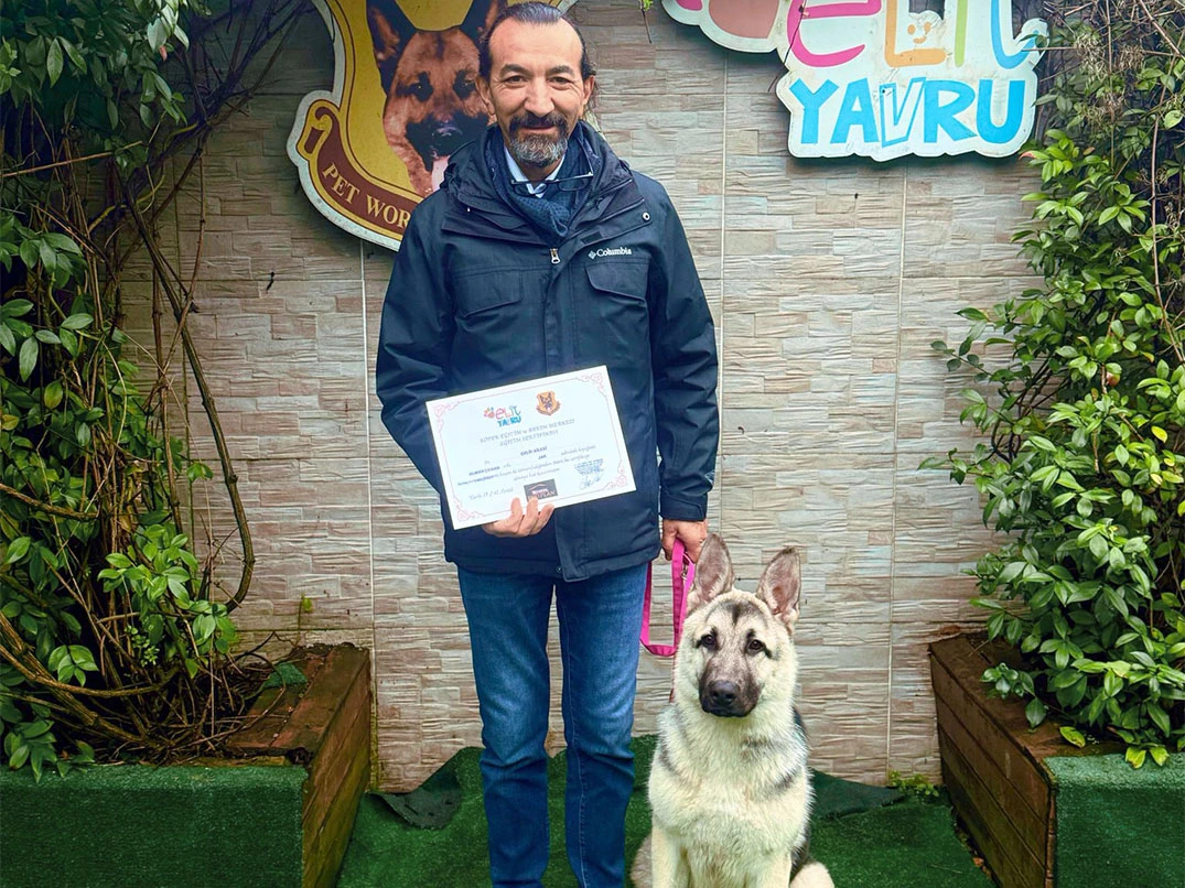 Jack Tuvalet ve Temel itaat eğitimini başarılı bir şekilde tamamladı