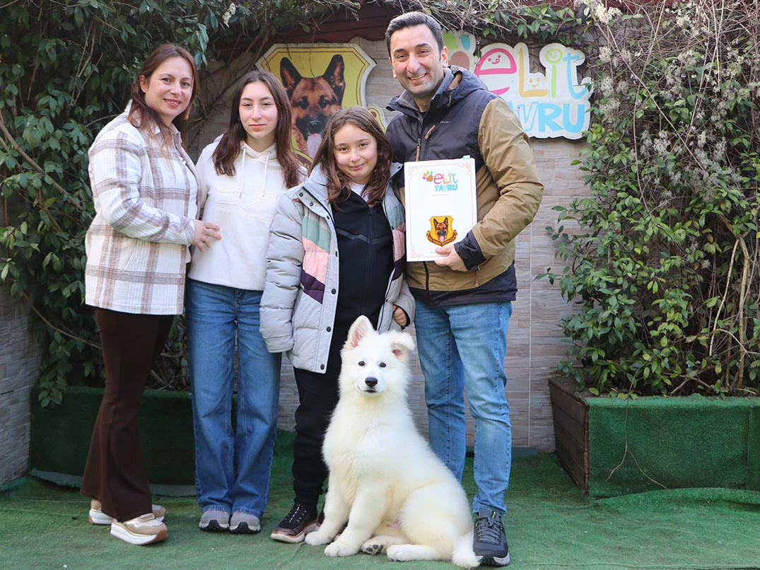 Ayaz Puppy eğitimini başarılı bir şekilde tamamladı