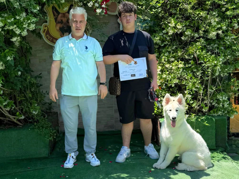 Topçuoğlu Ailesinin Beyaz Alman Çoban Köpeği Paris Temel İtaat Eğitimini Başarıyla Tamamladı