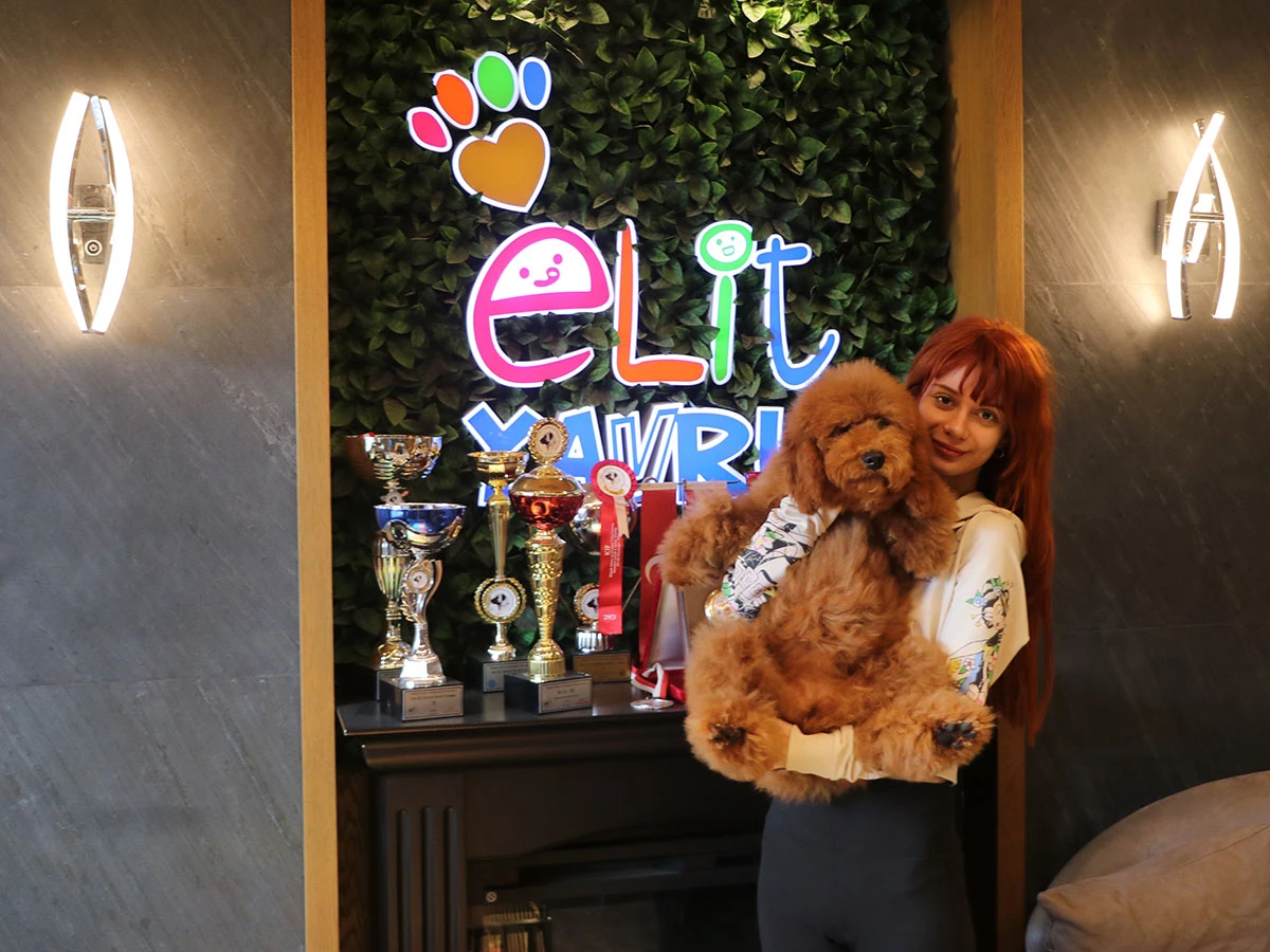 Ekşioğlu ailesi Labradoodle kızlarına kavuştular