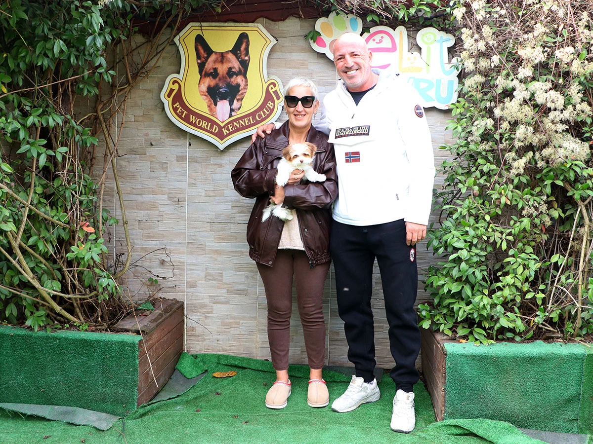 Çikolata Morkie yavrumuz Serap Özler’in ailesine katıldı