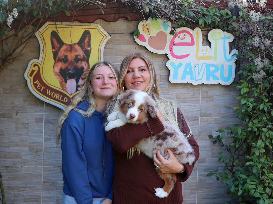 Sevgili Sevda Hanım ve ailesi Miniature American Shepherd yavrularına kavuştular