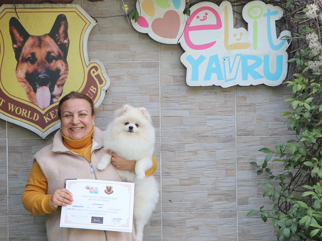 Uygun ailesinin minik üyesi Ares Temel itaat eğitimini başarılı bir şekilde tamamladı