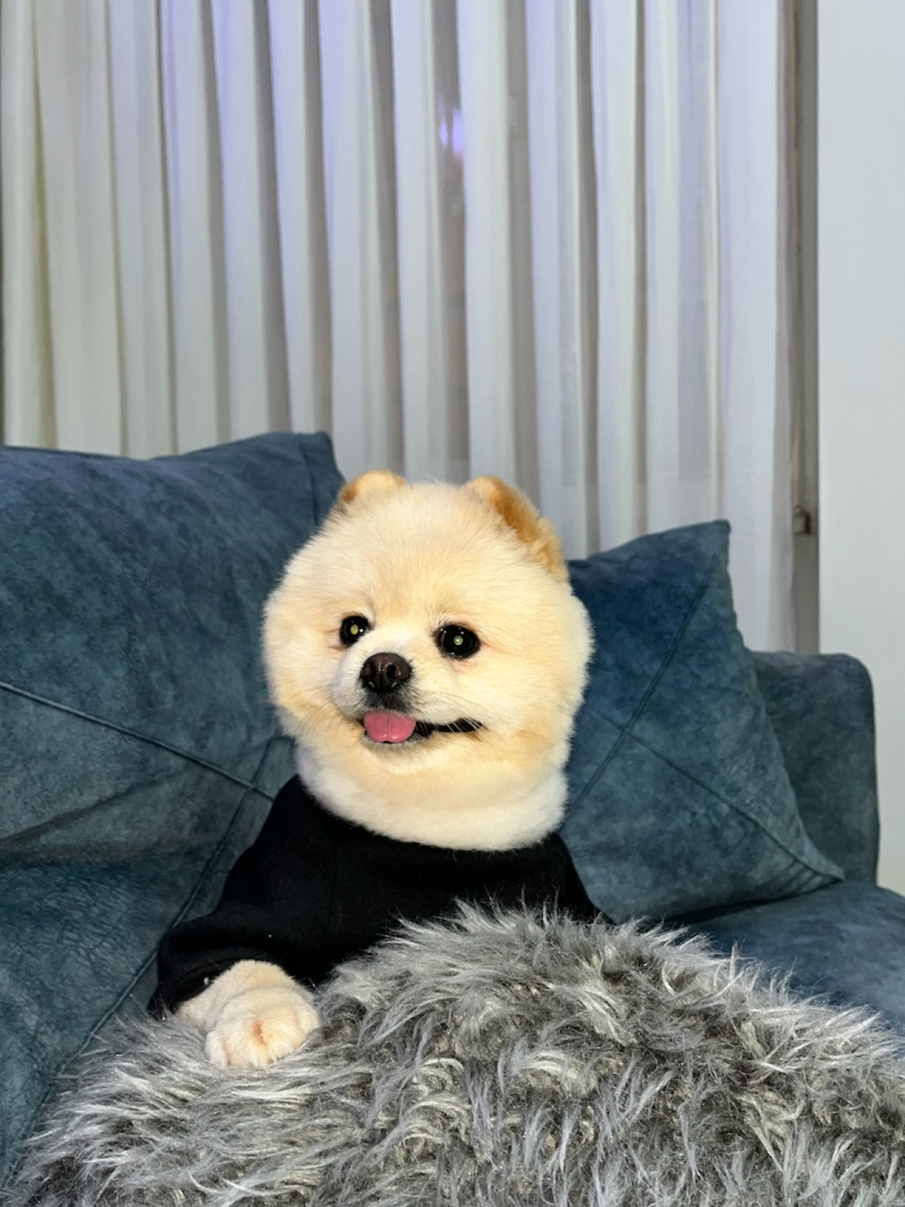 LEO