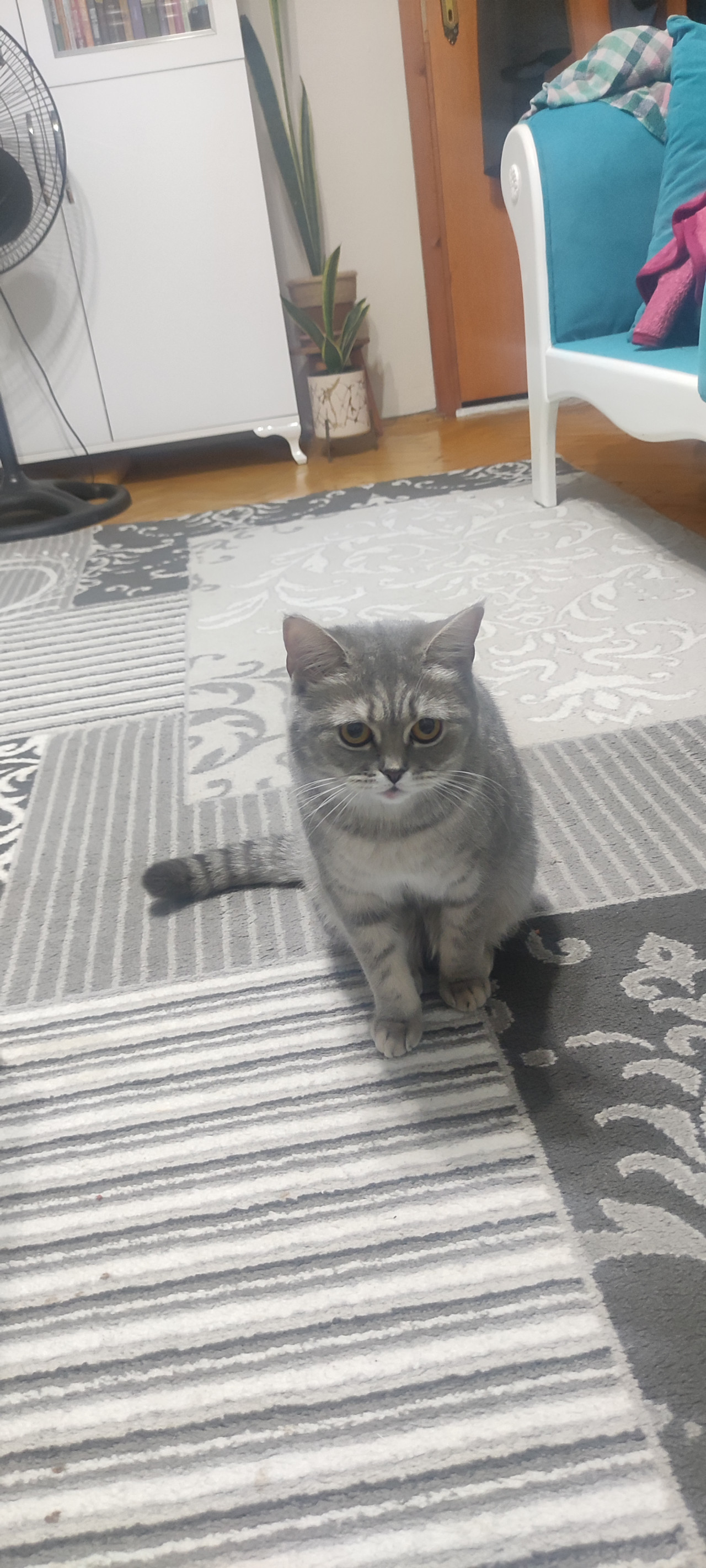 Eş arıyorum